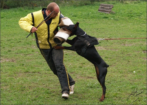 Training in Prague 10/2007